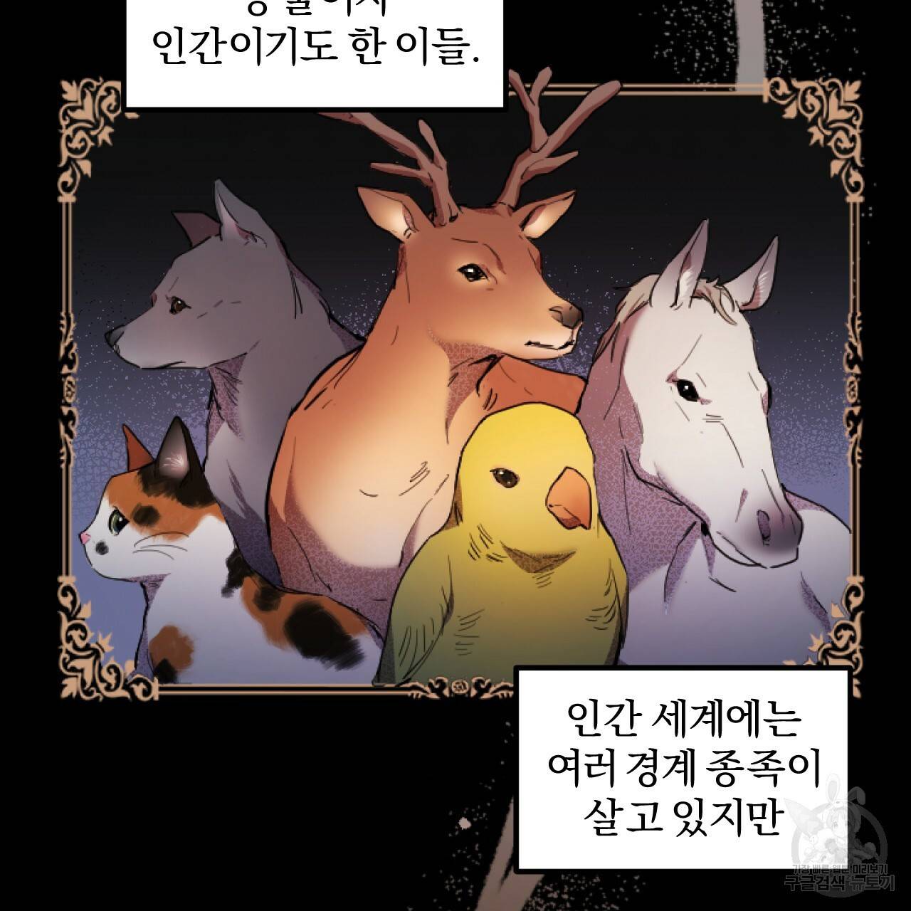 하비비의 토끼들 1화 84