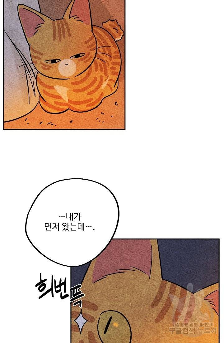 금복이 이야기 37화 38