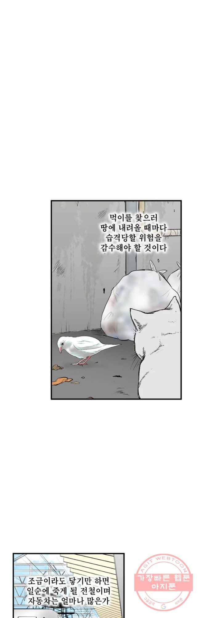 26번째 살인 제18화 5