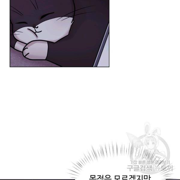 우리집 고양이는 베지테리언 12화 33
