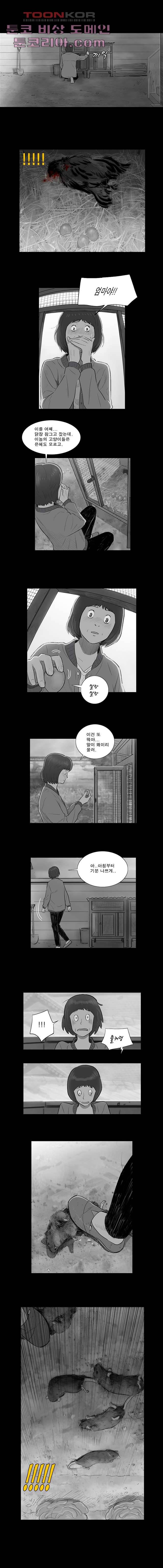 연무 4화 4