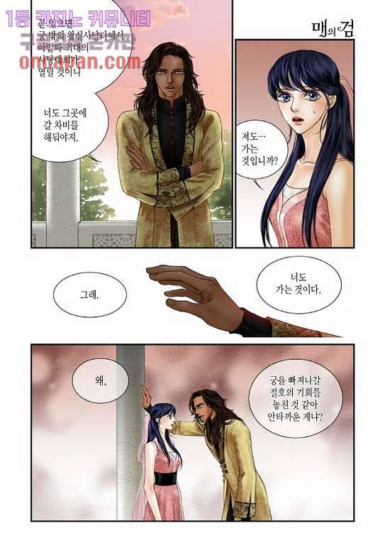 매의 검 11화 10