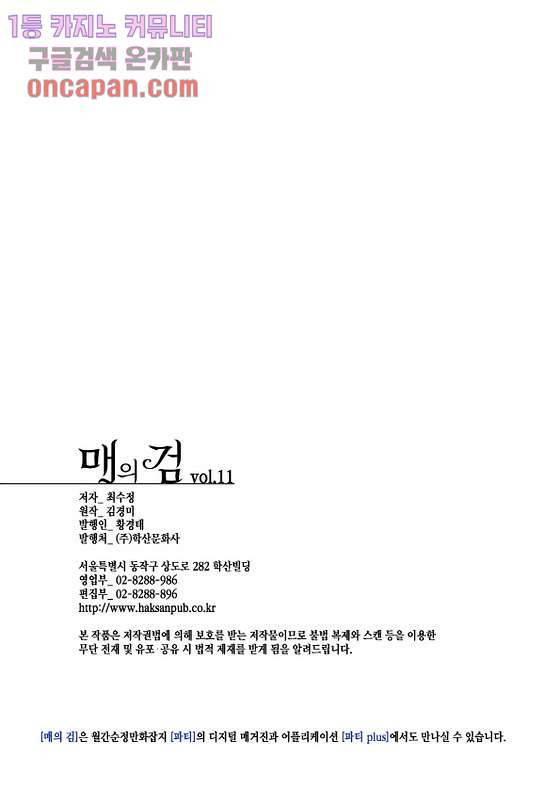 매의 검 11화 22