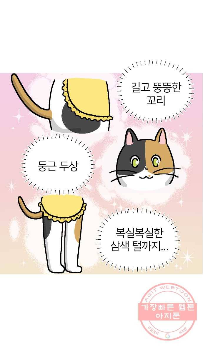애옹식당 1화 웰컴 드링크?! 3