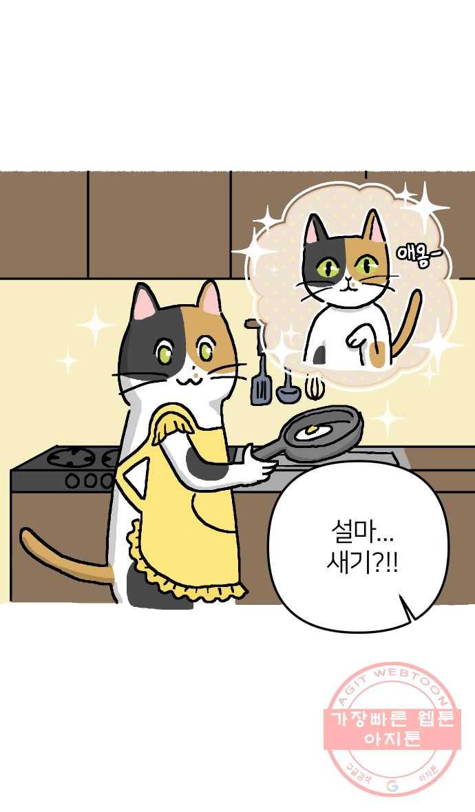애옹식당 1화 웰컴 드링크?! 4