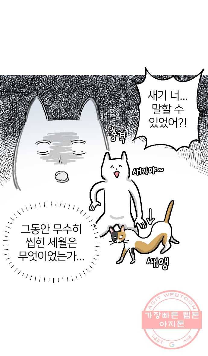 애옹식당 1화 웰컴 드링크?! 5