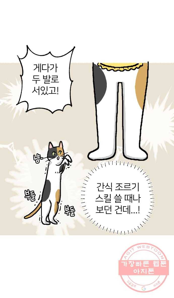 애옹식당 1화 웰컴 드링크?! 6