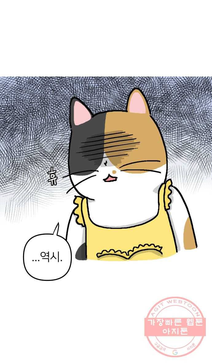 애옹식당 1화 웰컴 드링크?! 12