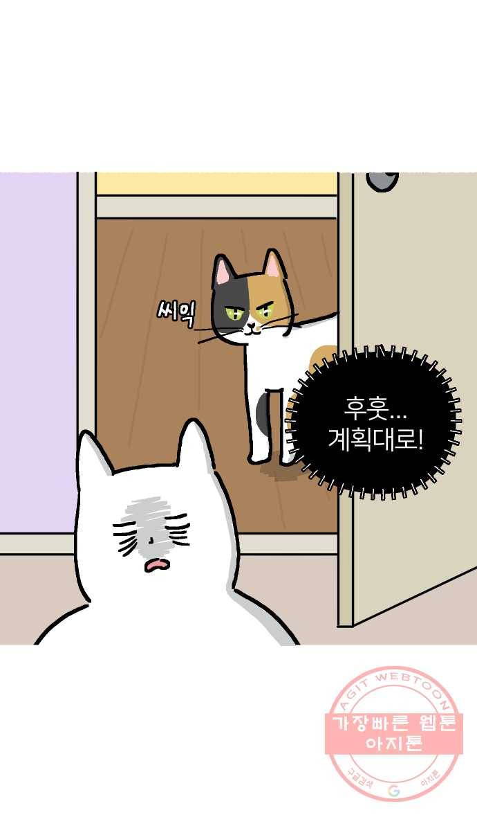 애옹식당 1화 웰컴 드링크?! 43