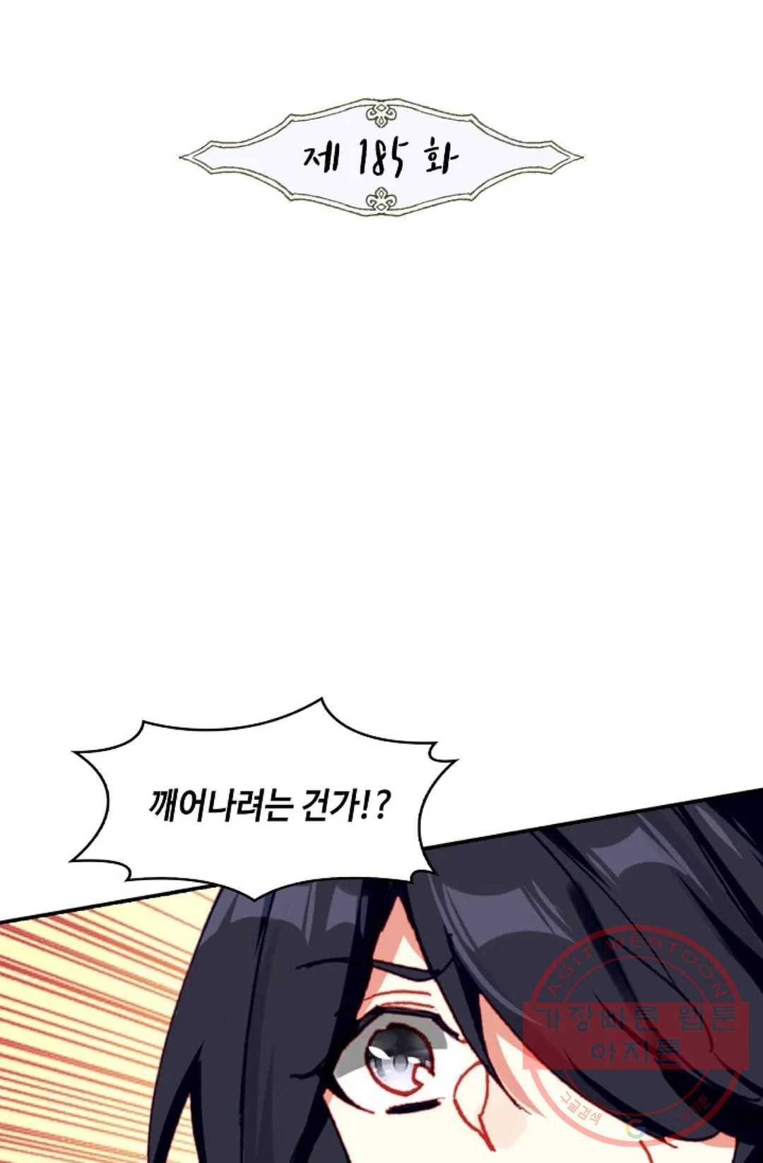 사신 영웅전: 바보 마법사 영웅이 되다 185화 2