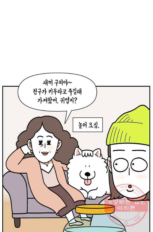크레이지 가드너 22화 수초 3