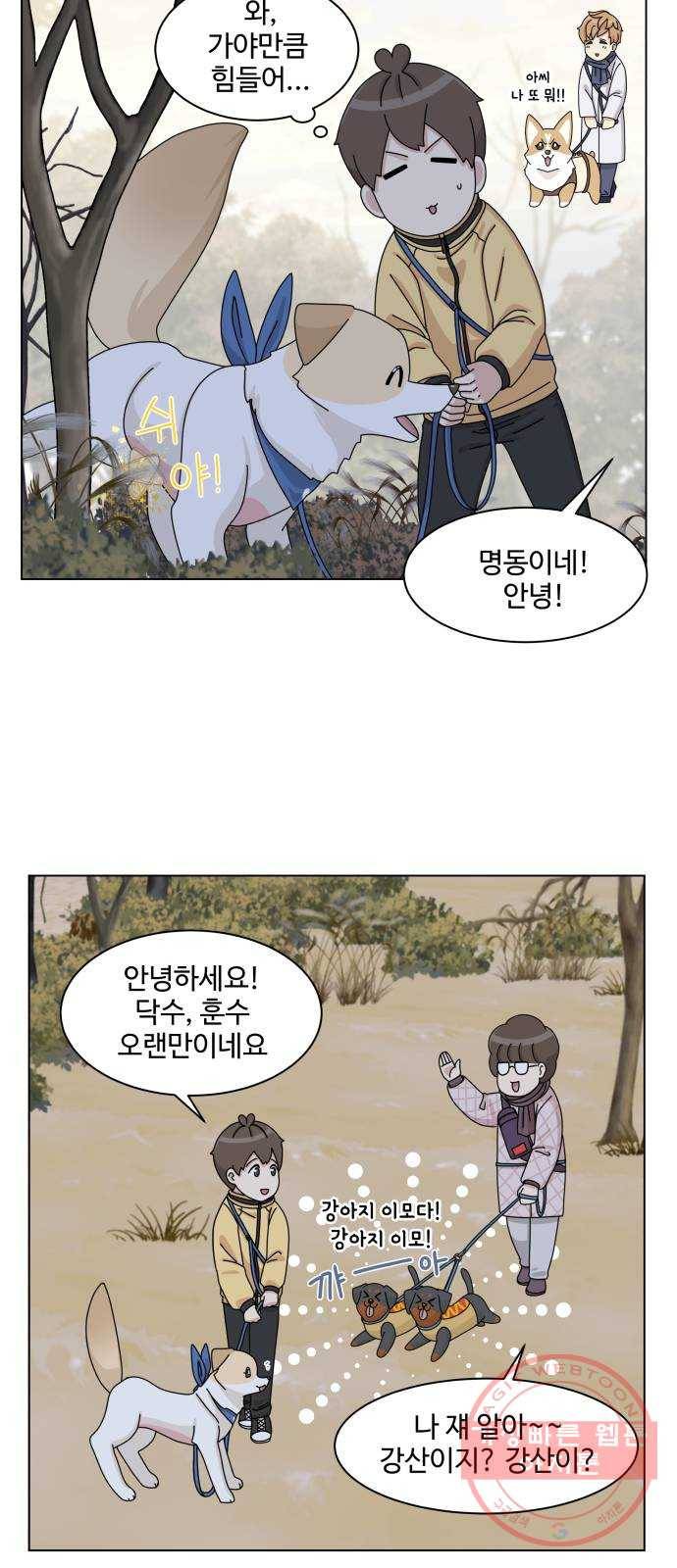 개를 낳았다 시즌2 77화 3