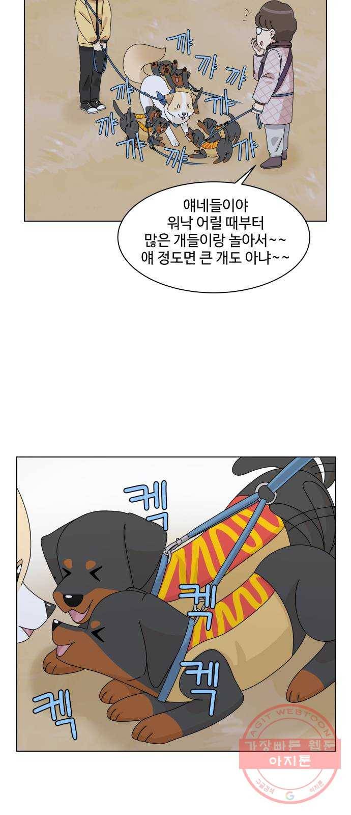 개를 낳았다 시즌2 77화 6