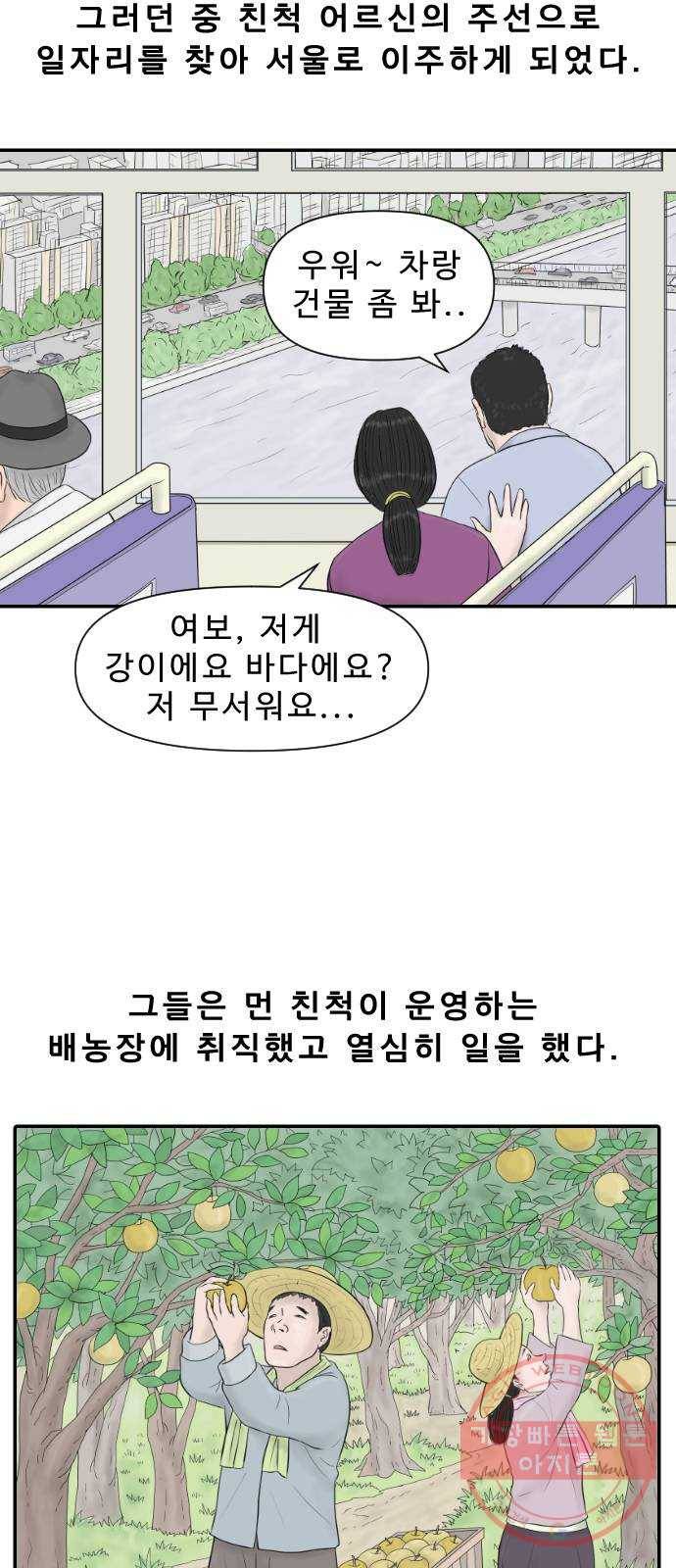 내과 박원장 13화. 결혼 이야기 (1부) 5