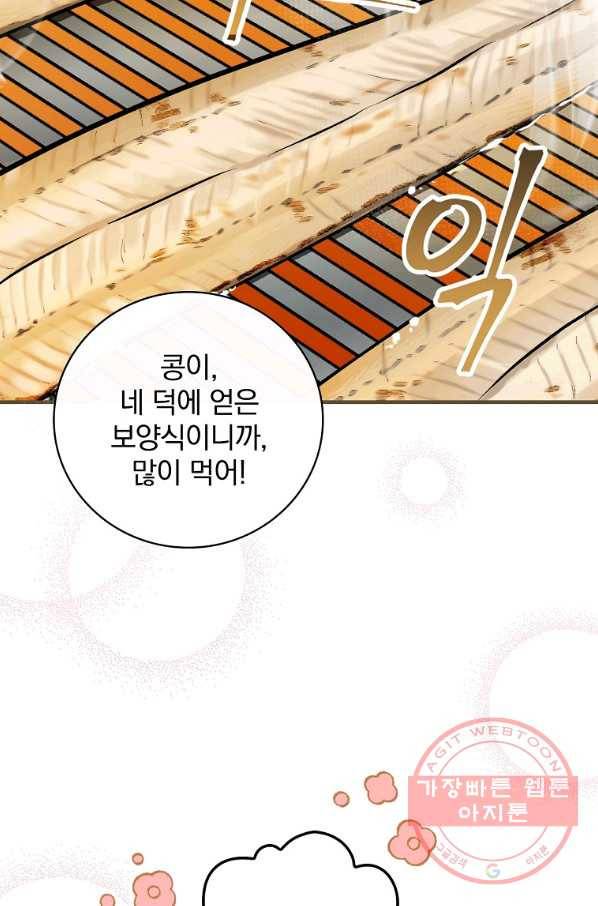 밥만 먹고 레벨업 96화 29