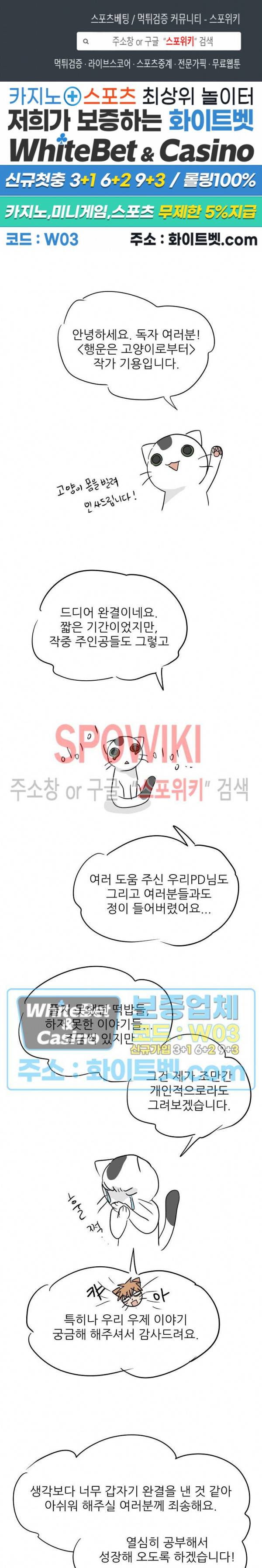 행운은 고양이로부터 후기 1