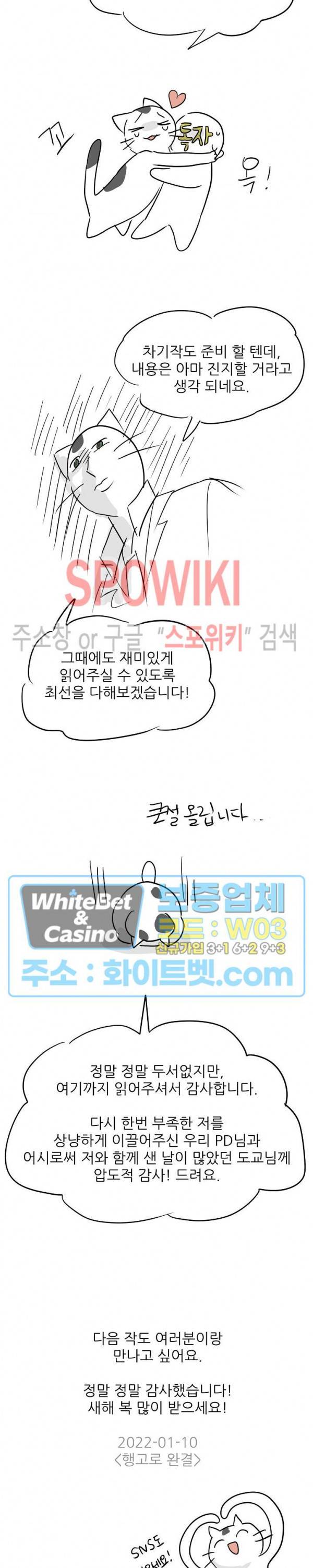 행운은 고양이로부터 후기 2