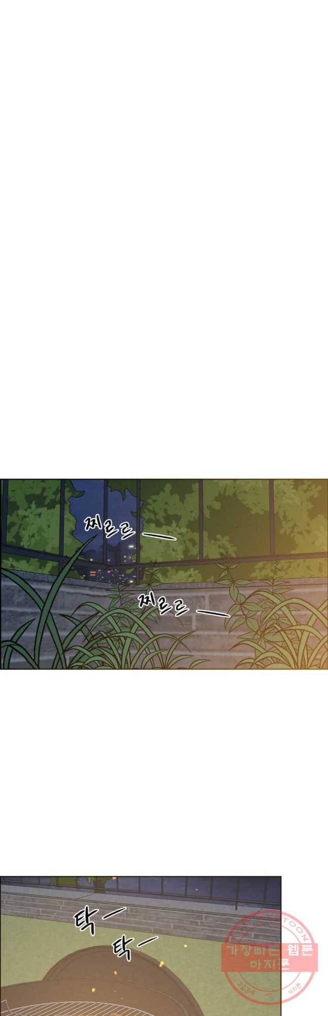 신랑이 사라졌다 49화 위로 35