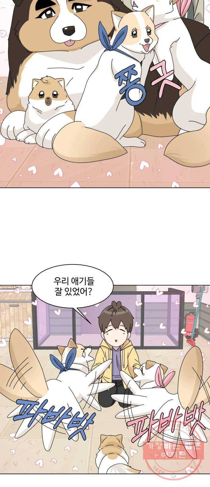 개를 낳았다 시즌2 81화 4