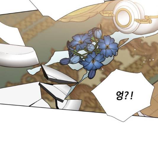 그 기사가 레이디로 사는 법 48화 14