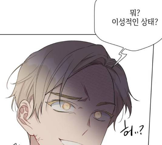 그 기사가 레이디로 사는 법 48화 19