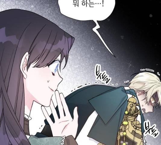 그 기사가 레이디로 사는 법 48화 52