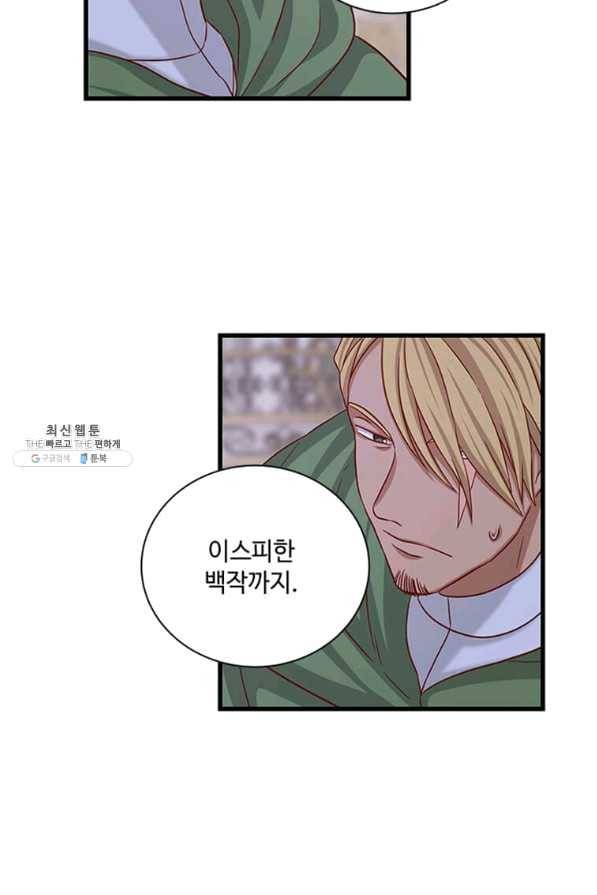 프리실라의 결혼 의뢰 96화 13