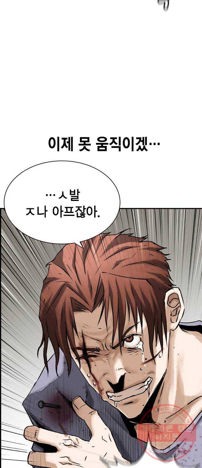 100 13- 이런 것도 총이라고? 52