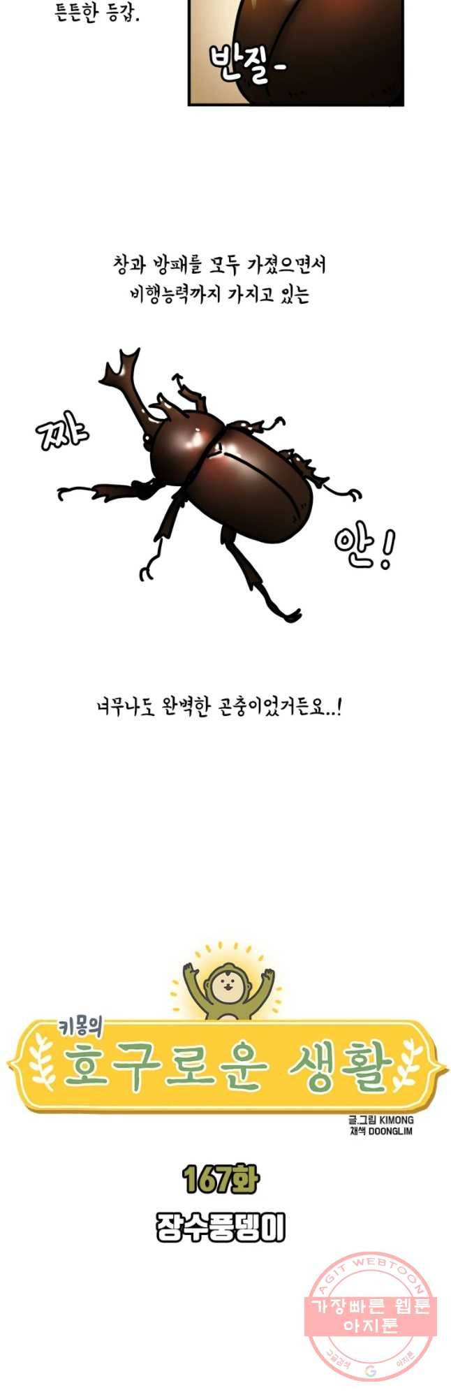 키몽의 호구로운 생활 167화 장수풍뎅이 3
