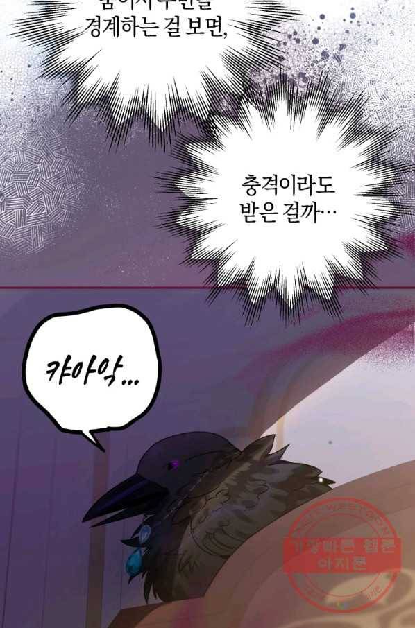 하필이면 까마귀가 되어버렸다 17화 71