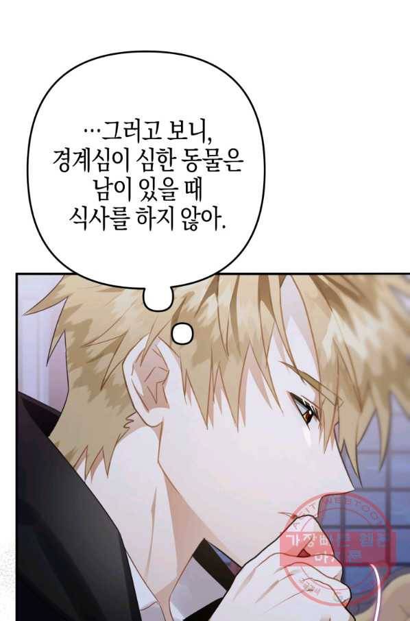하필이면 까마귀가 되어버렸다 17화 106
