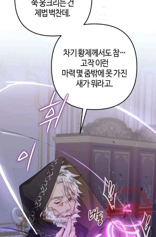 하필이면 까마귀가 되어버렸다 17화 115