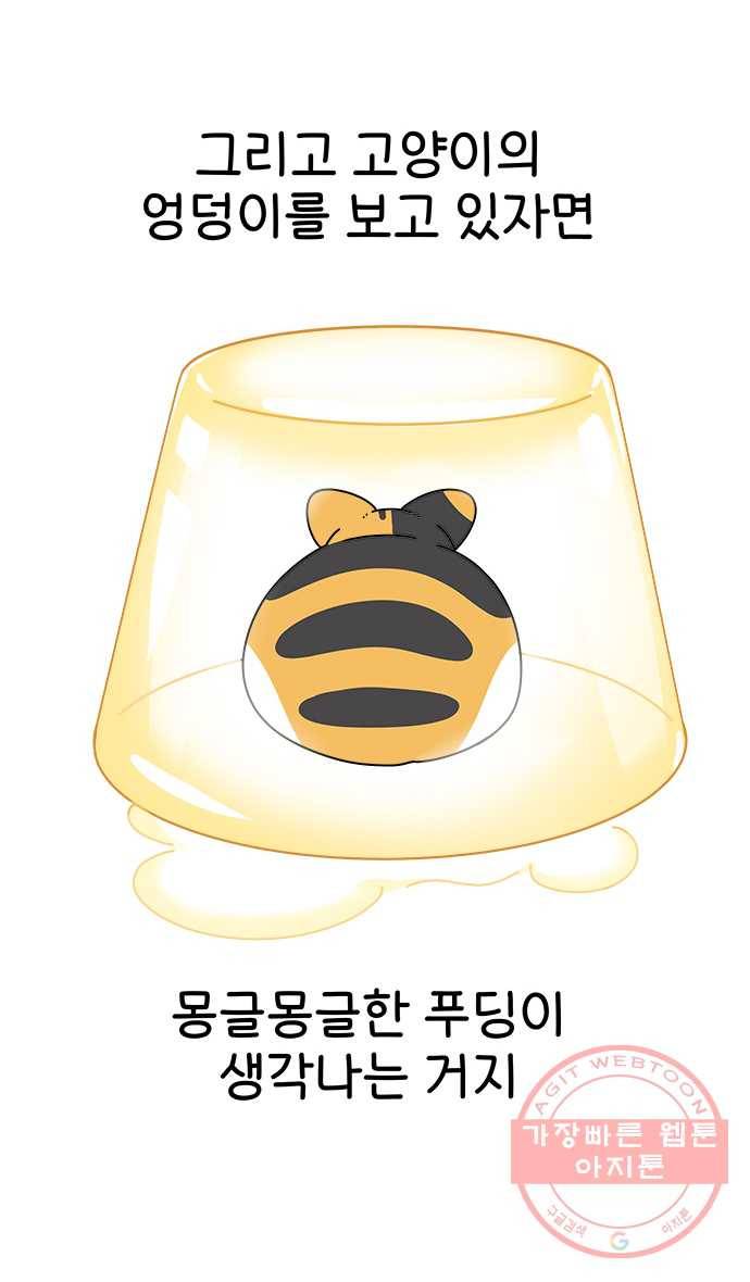 먹는 인생 31화 캐러멜 커스터드푸딩 11