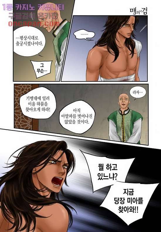 매의 검 18화 20