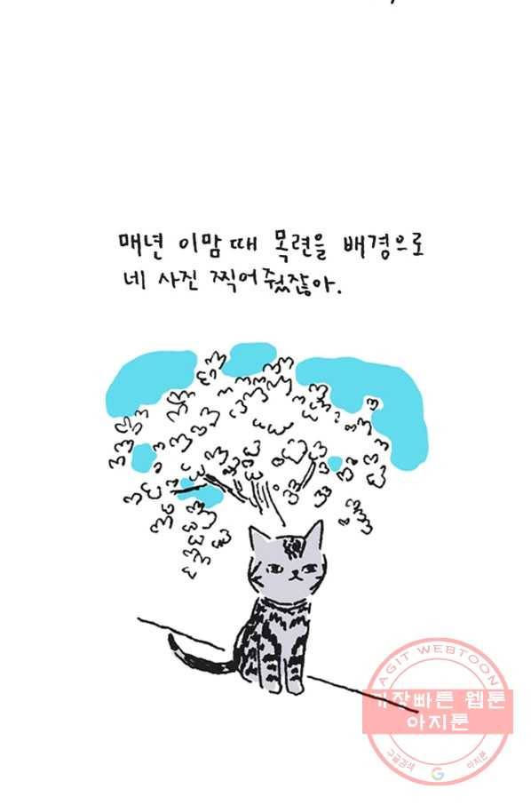 은동은동+옹동스 은동은동 옹동구리 12화. 너의 생일에 3