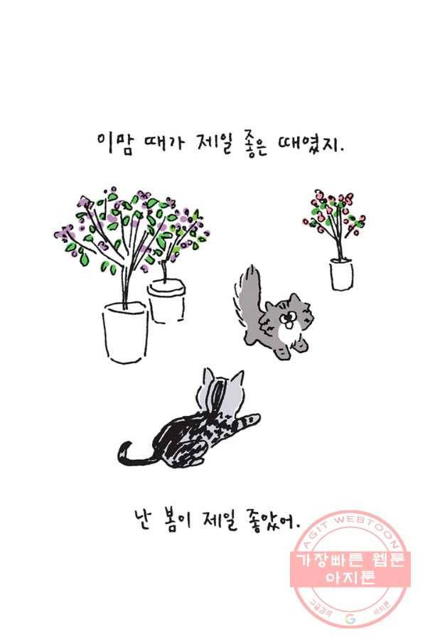 은동은동+옹동스 은동은동 옹동구리 12화. 너의 생일에 4