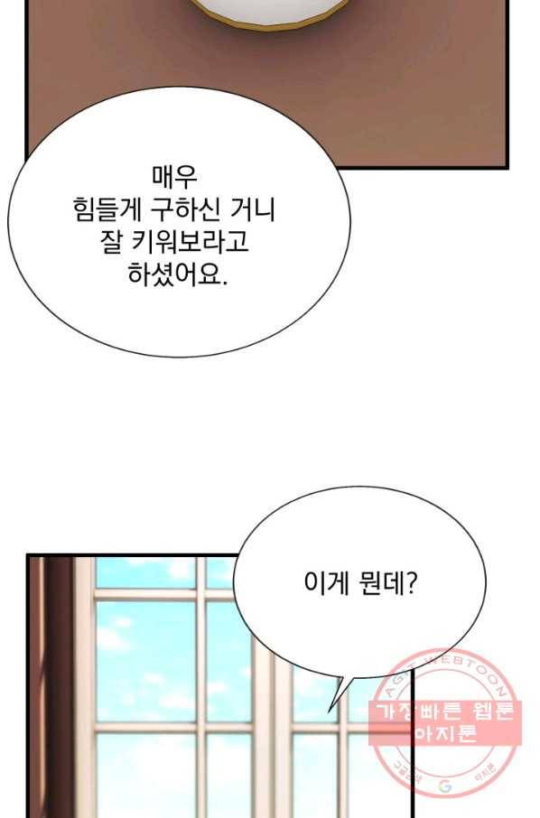 극한 공녀 105화(외전 5화) 3