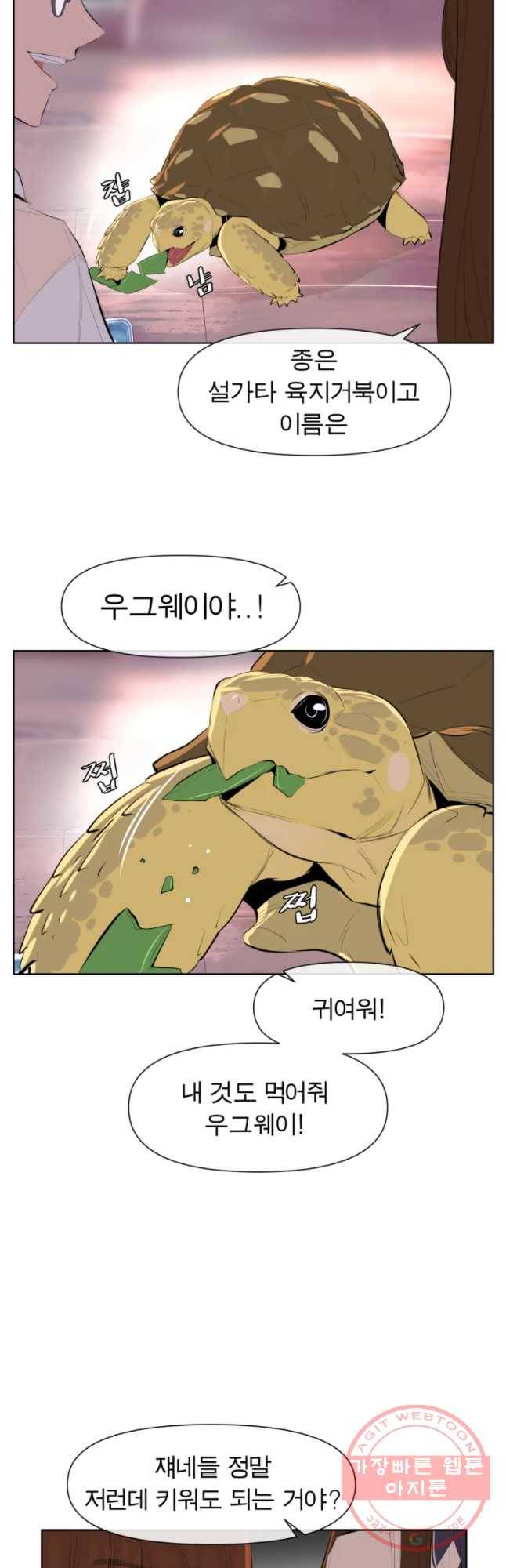 케어시트 22화 의도 19