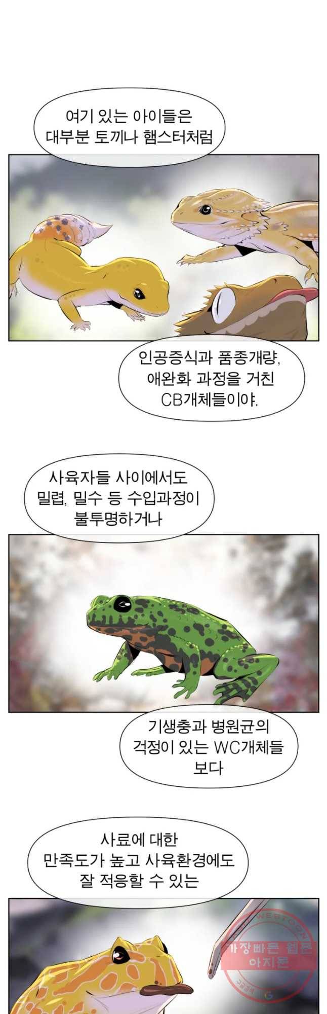 케어시트 22화 의도 21