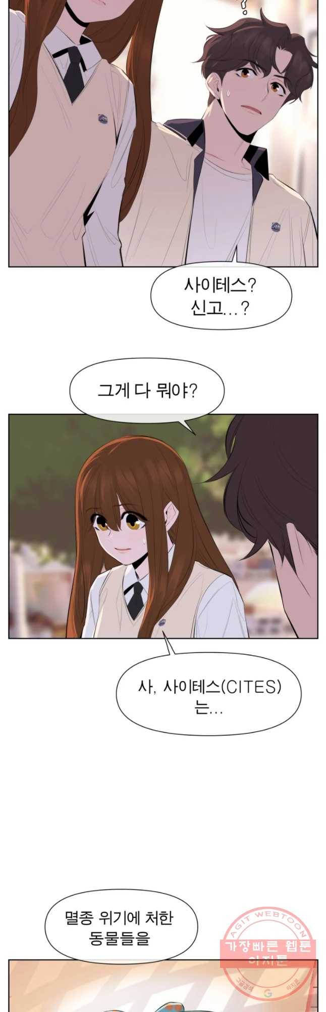 케어시트 23화 사이테스 11