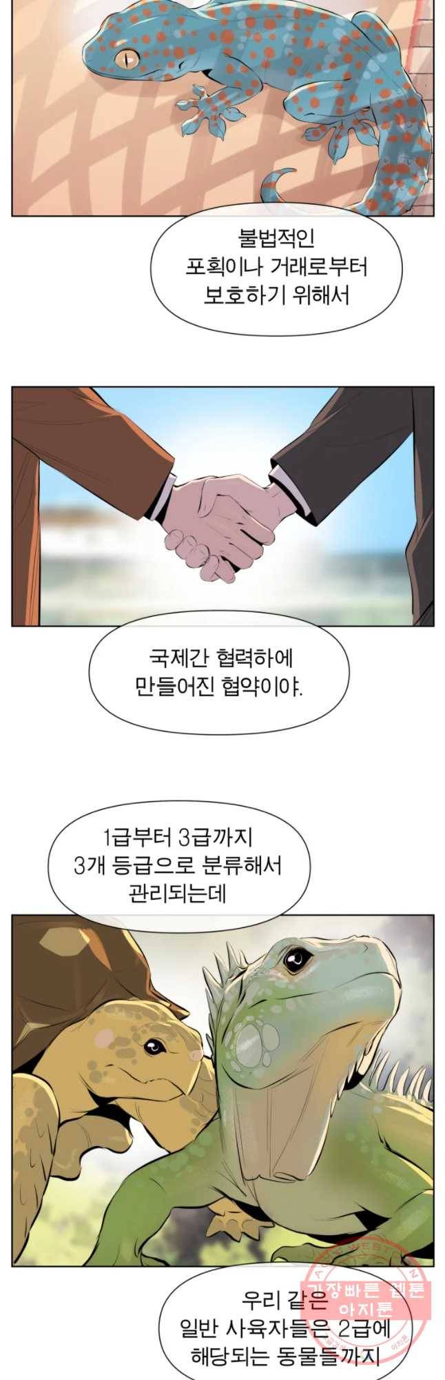 케어시트 23화 사이테스 12