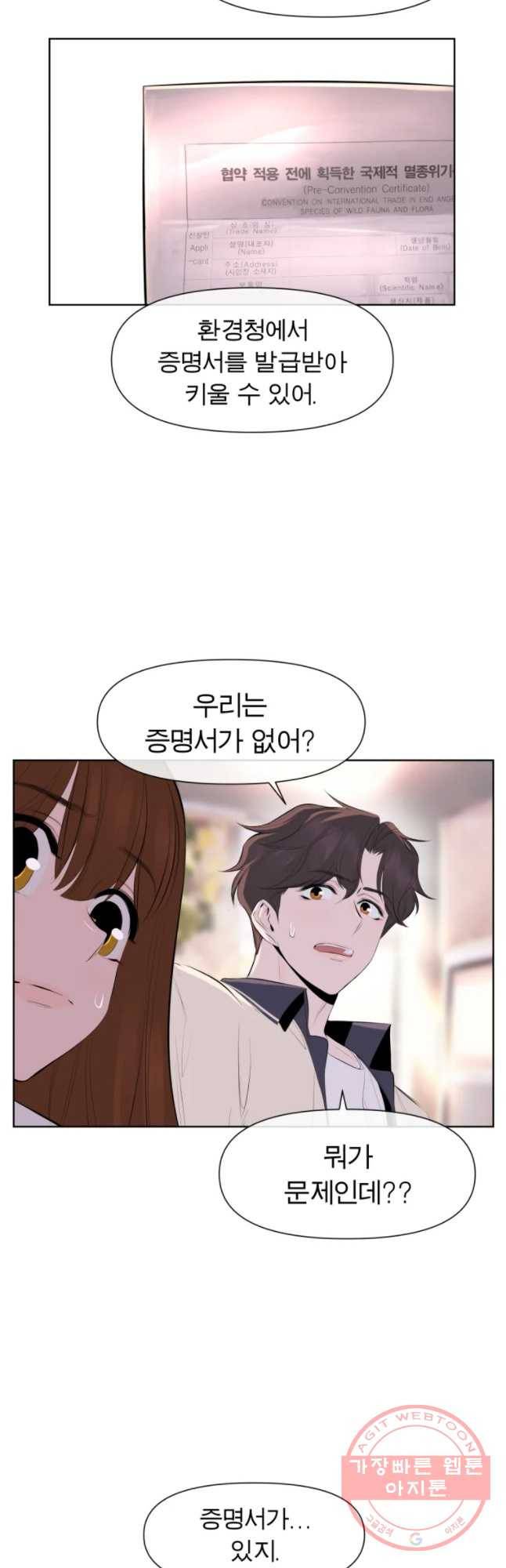 케어시트 23화 사이테스 13