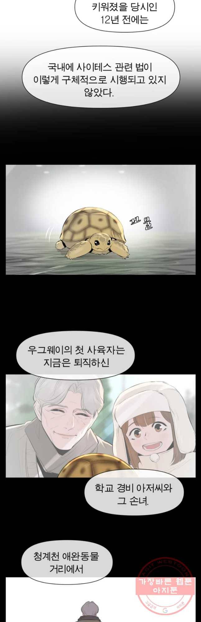 케어시트 23화 사이테스 16