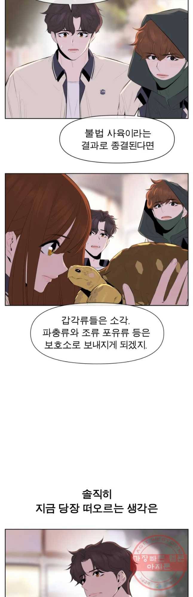 케어시트 23화 사이테스 22