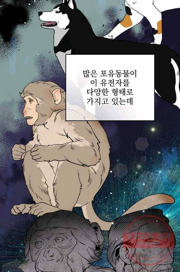 나 혼자 천재 DNA 78화 21