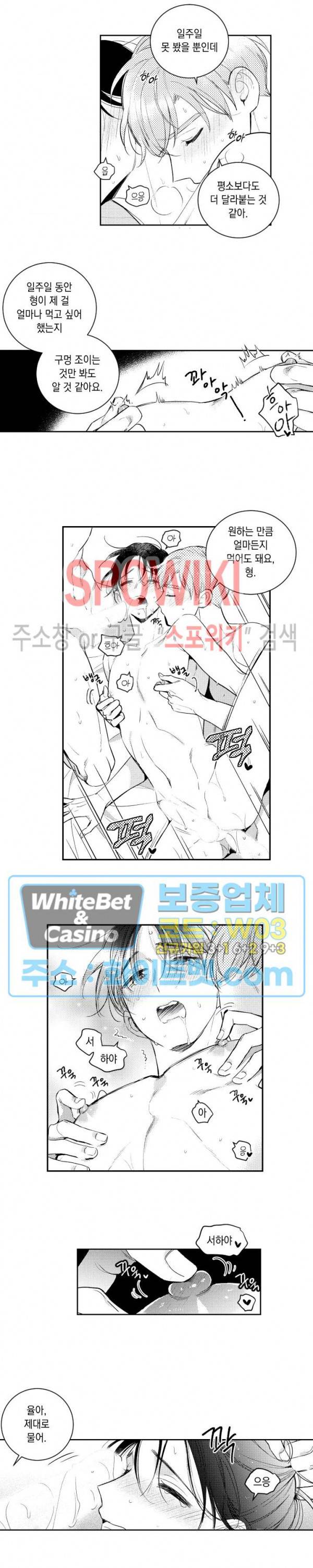 달콤한 사기꾼은 누구? 외전 -뒷이야기- 16화 최종화 2