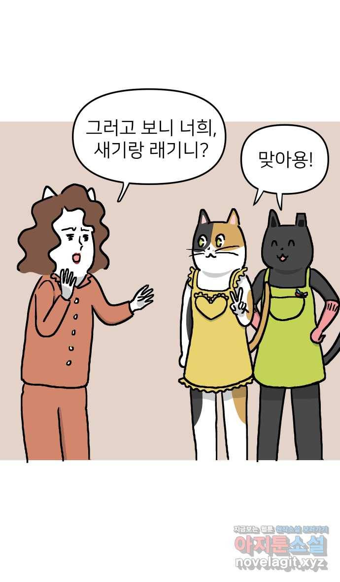 애옹식당 16화 명랑 명란젓 파티 41