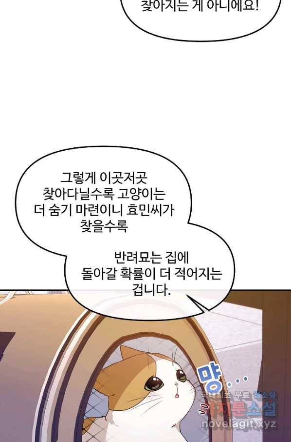 우리집 고양이는 베지테리언 26화 준희가 떠났던 이유 7