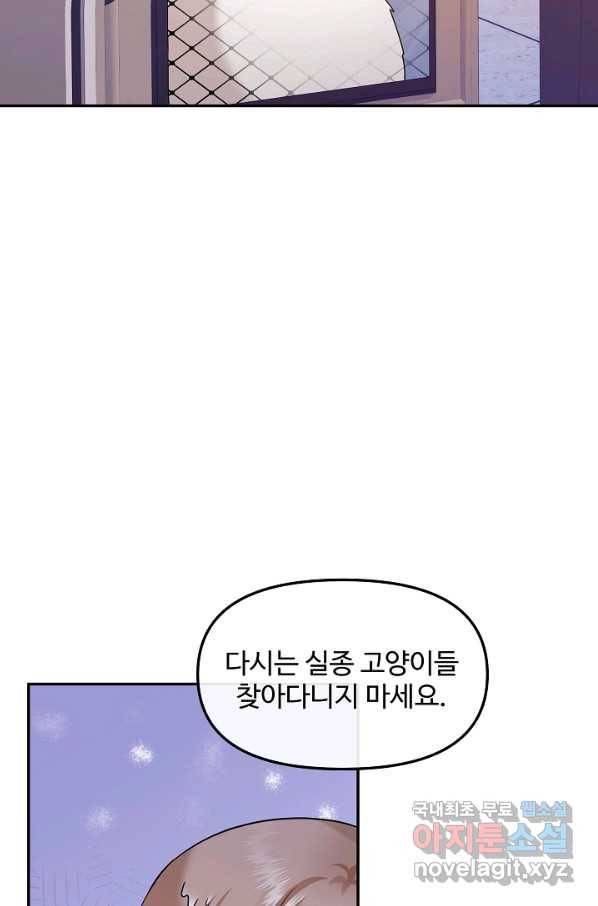 우리집 고양이는 베지테리언 26화 준희가 떠났던 이유 8