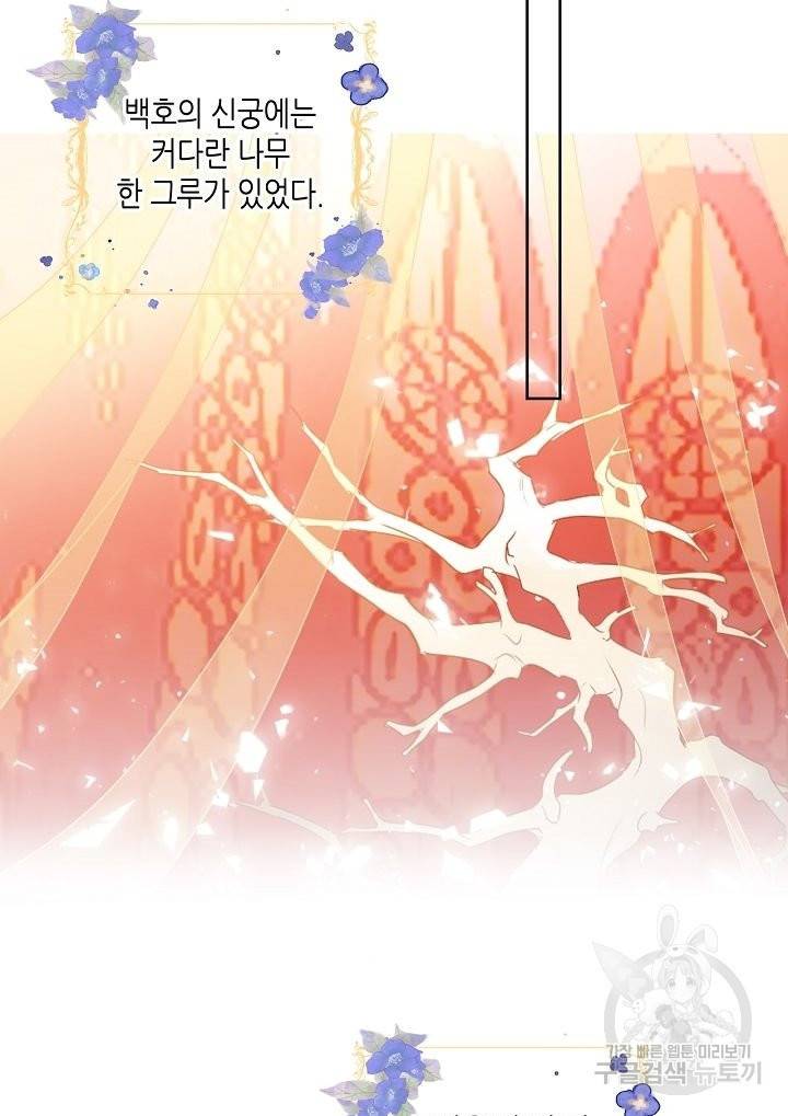 태자비는 미소년 게임이 하고 싶다 150화 20